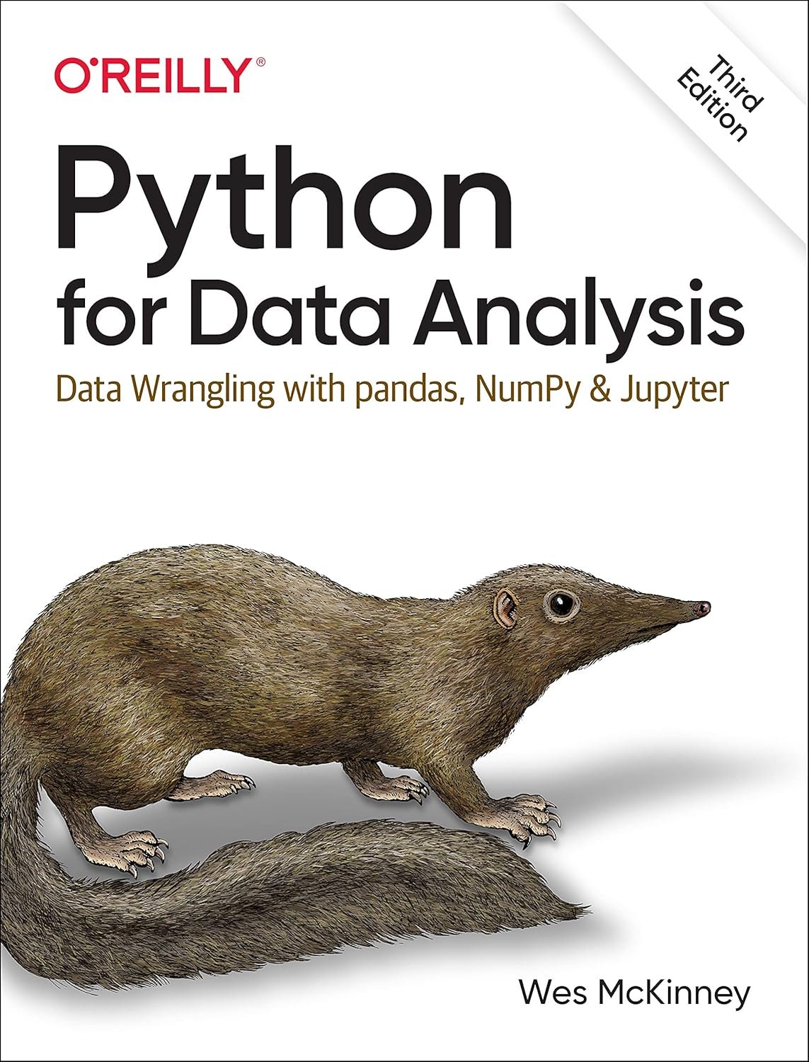 Python for Data Analysis 3e: Data Wrangling with pandas, NumPy, and Jupyter